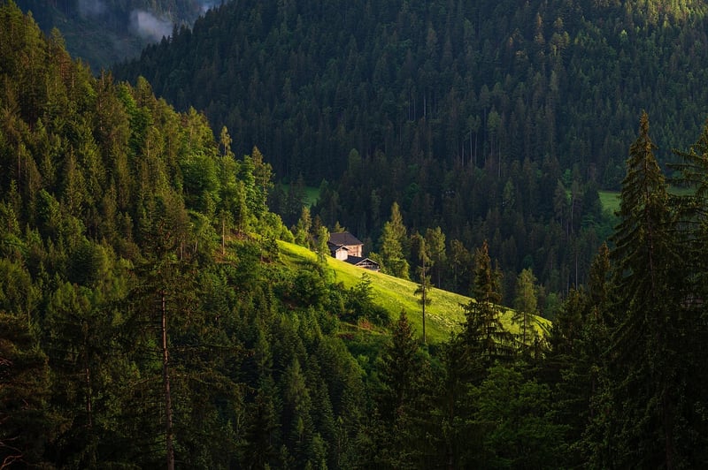 Mountain Lodge
