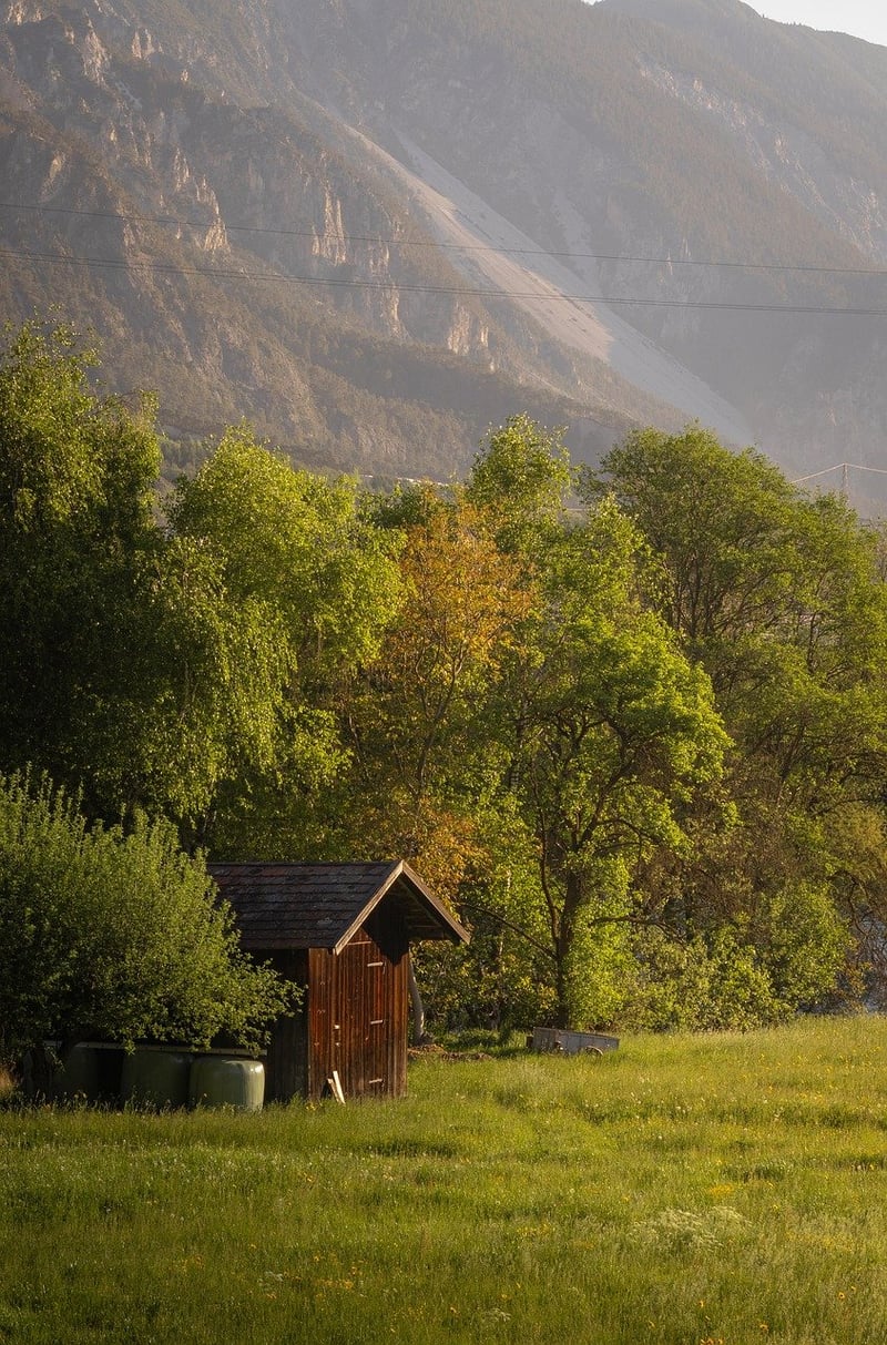 Treehouse Retreat